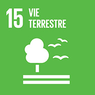 SDG 15