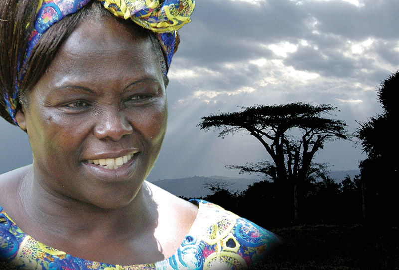 film Wangari Maathai