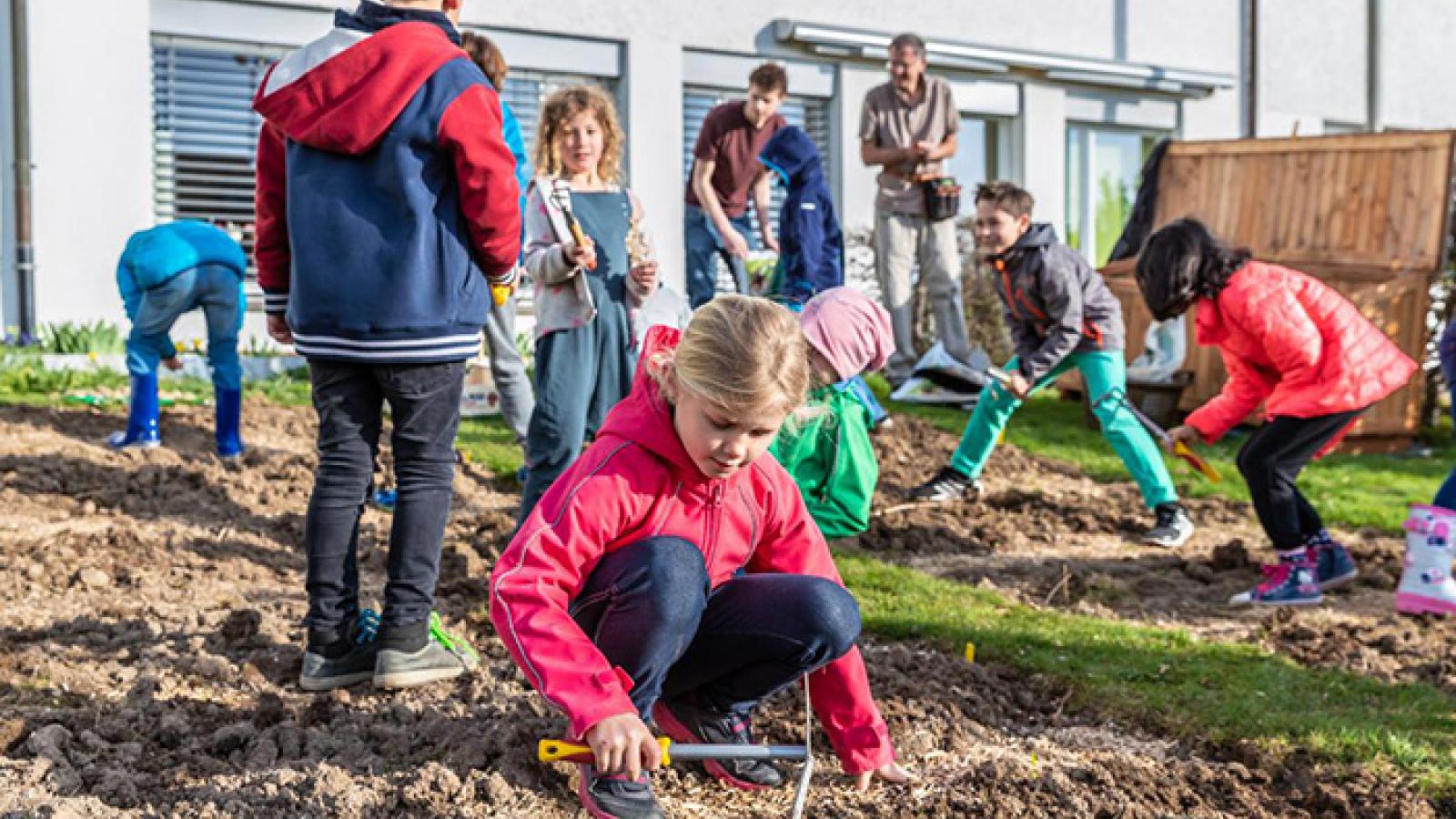 Schulgarten: ein lebendiges Schulareal!