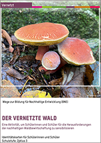 vernetzte Wald