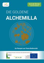 Die_goldene_Alchemilla