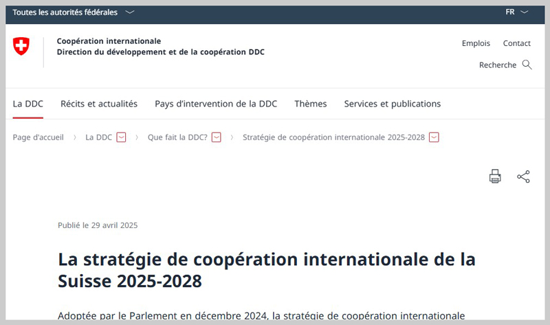Strategie der internationalen Zusammenarbeit (DEZA)
