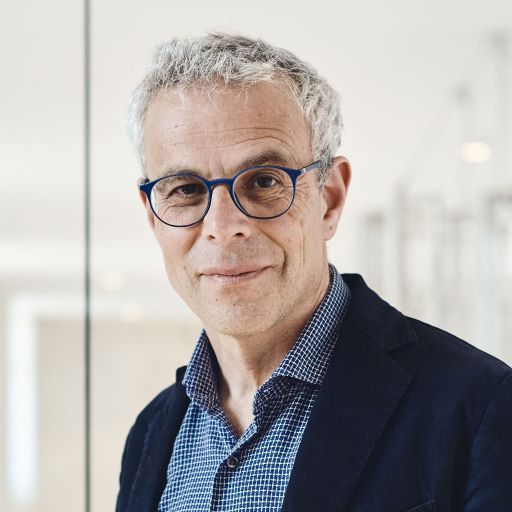 Prof. Dr. Laurent Goetschel Laurent Goetschel