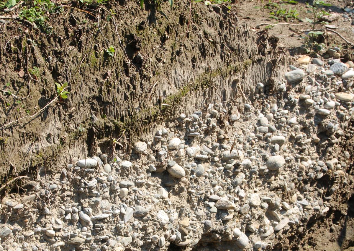 bolle viste dal basso